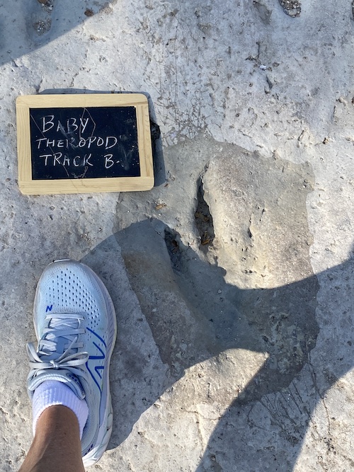 Travel 113 Million Years Into the Past at Dinosaur Valley State Park, Glen Rose,&nbsp;Texas