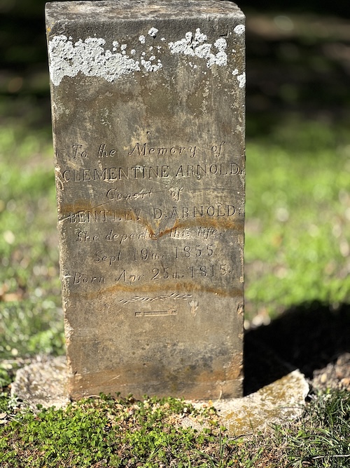 Image of upright headstone with the word "consort" again on the third line.