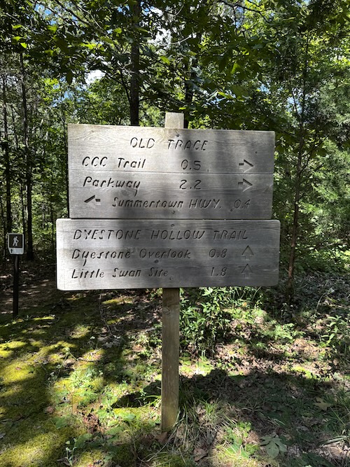 Image of old wooden sign with trail markings.