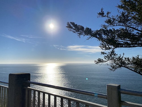 Image of Pacific Ocean with tree branches on the right side and fence rail in front part of photo.